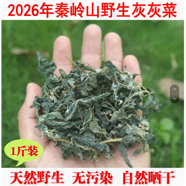 2026年秦岭野生干灰灰菜深山采摘灰灰菜野灰菜农家野菜农家菜干菜