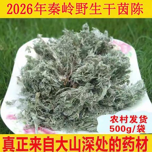 新货绵茵陈中草药三月陕西