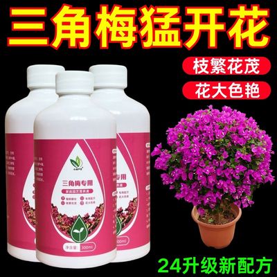 三角梅专用肥催花营养液家