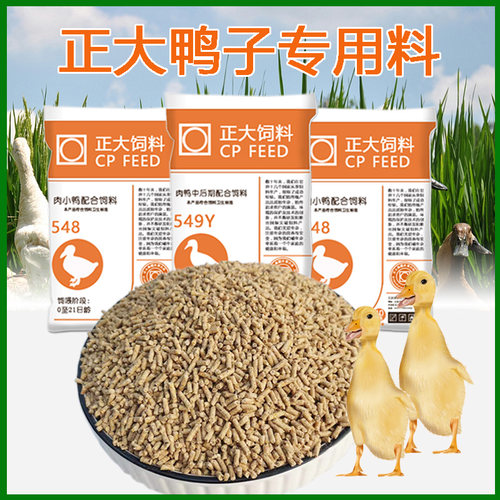 正大鸭子正大鸭饲料小鸭开口料