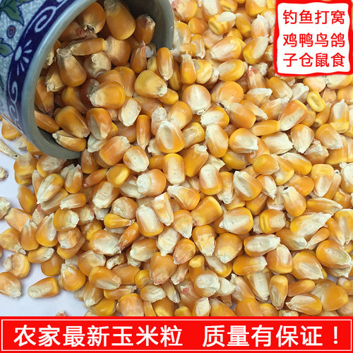 玉米粒鸽粮鸡鸭鹅饲料