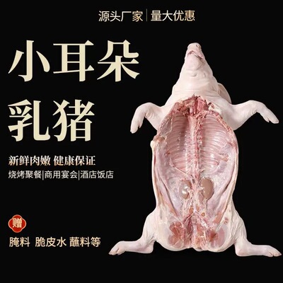 厂家直销乳猪整只新鲜乳猪半成品烤乳猪整只半成品乳猪商用