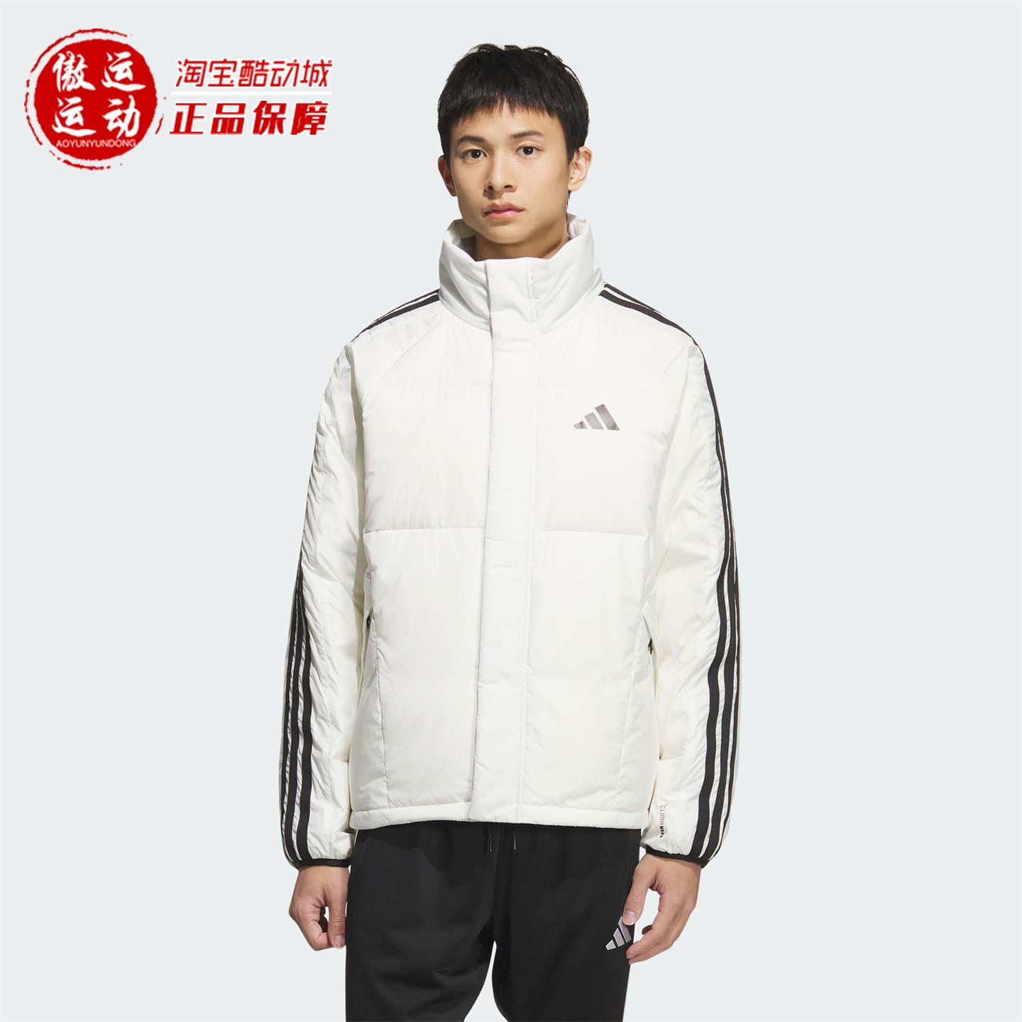 Adidas阿迪达斯男子拒水防风保暖立领运动羽绒服外套2025秋KC2489
