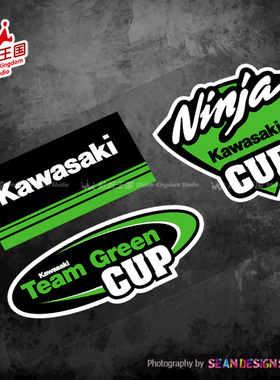 忍者 Ninja 400 650 Z250Z800Z900Z1000 636 ZX-10R6R 反光贴纸06