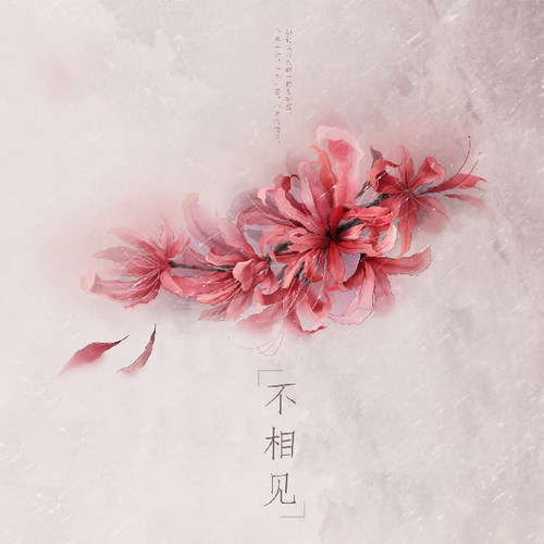 纹身贴彼岸花地狱少女价格 纹身贴彼岸花地狱少女图片 星期三