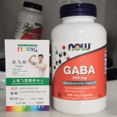 美国NOW伽马GABA氨基丁酸500毫克含维生素B6松弛神经舒缓精神紧张