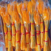 天然黄金麦穗干花大麦花束花店花篮麦子小麦客厅摆设装 饰批发摆件