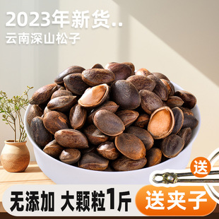 2025零食坚果东北松树生松子新鲜原味松仁新货大颗粒云南手剥籽非