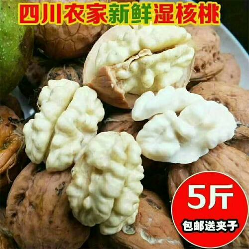新鲜核桃大凉山去青皮湿核桃野生