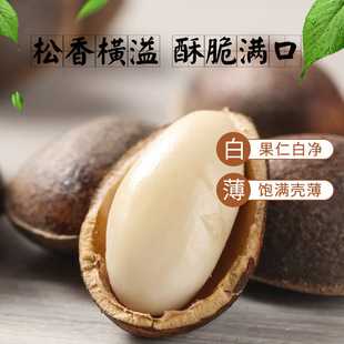 云南新鲜生松子落水松原味大颗粒仁零食坚果原味新货松树籽非东北