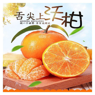 沃柑四川凉山会东金沙沃柑 5/10斤新鲜现摘现发新鲜爆汁精品盒装