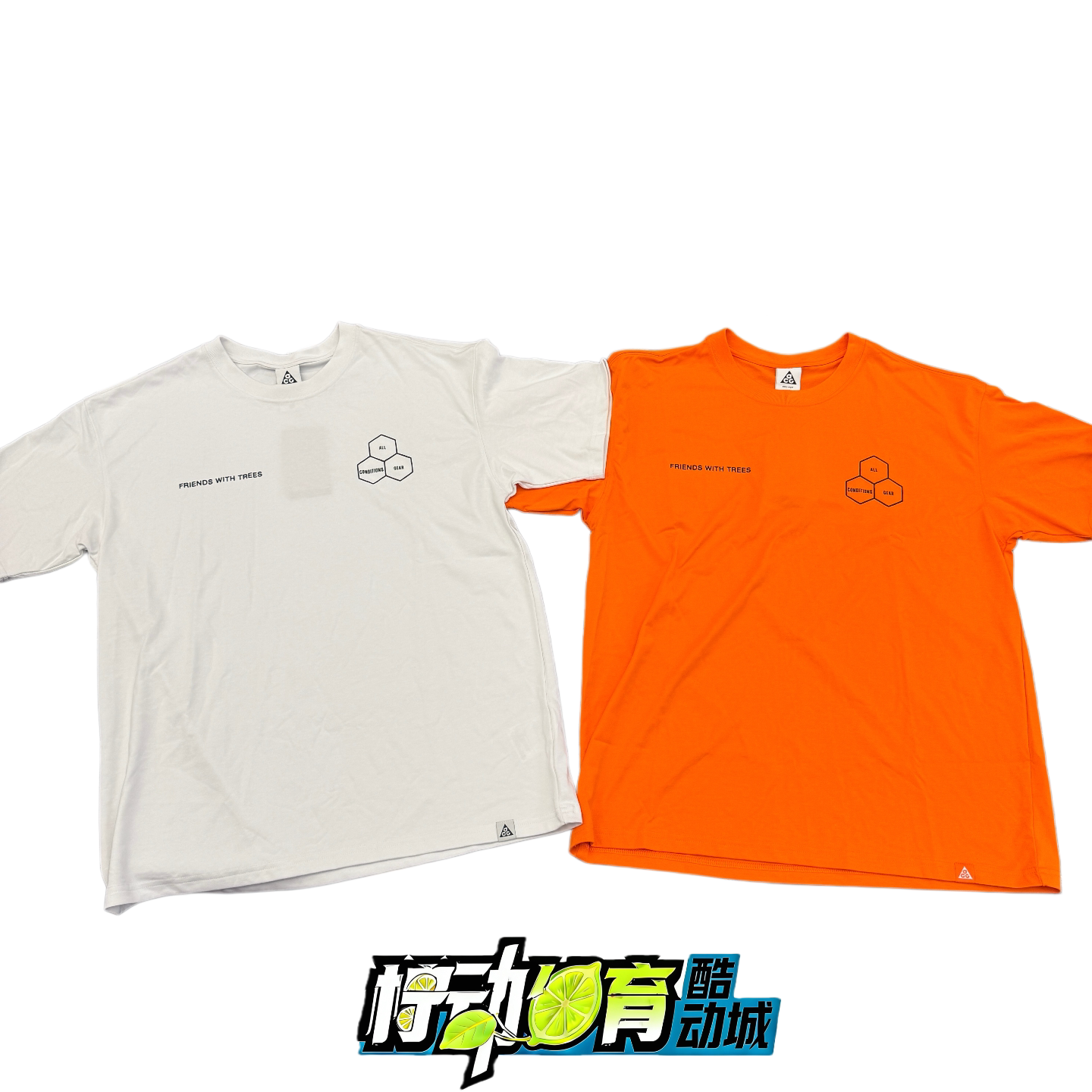 正品Nike ACG Dri-Fit 户外雨林棕树印花速干运动海外T恤 HJ0797