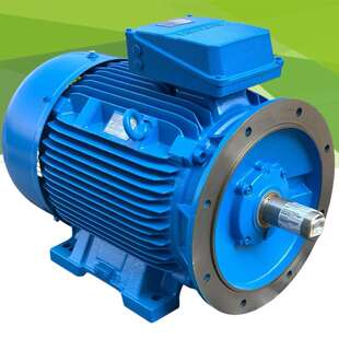 议价EMENS 1LE1623 2BB29 0LB4-Z motore elettrico trifase 45kW
