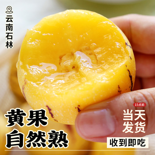 云南人参果石林直发坏果包赔