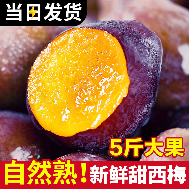 【官方推荐】正宗西梅！