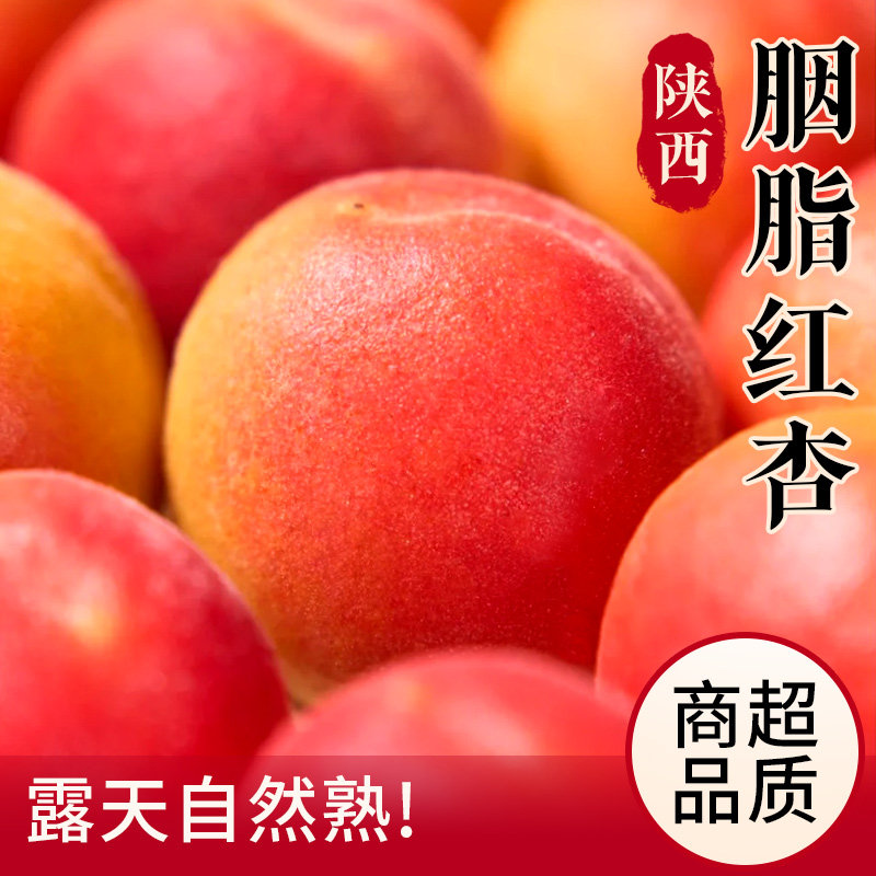 陕西胭脂红杏新鲜杏子当季水果整箱现摘自然熟甜杏贵妃太阳杏包邮