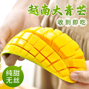 正宗越南大青芒新鲜10包邮芒果应季整箱当季特大忙亡果金煌水仙斤