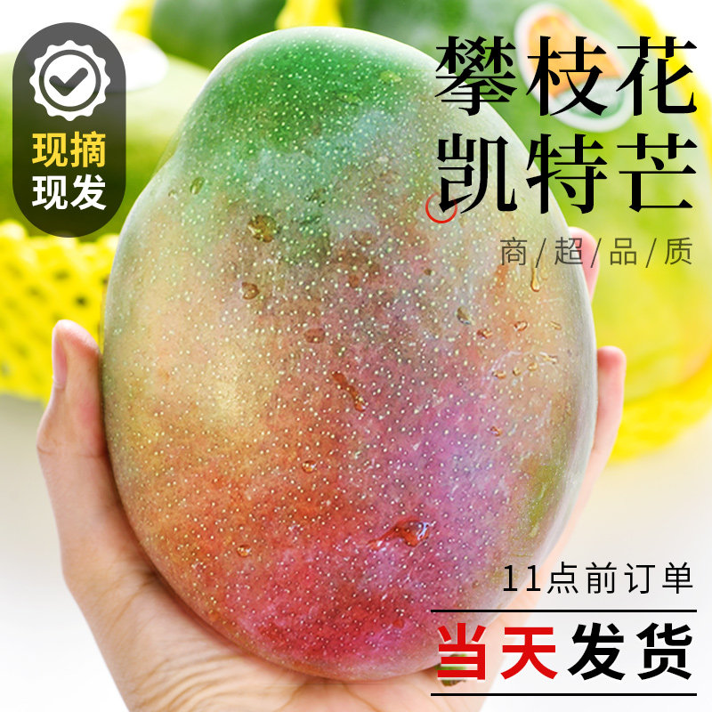 【官方推荐】凯特芒芒果现货速发