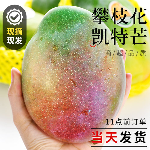 【官方推荐】凯特芒芒果现货速发