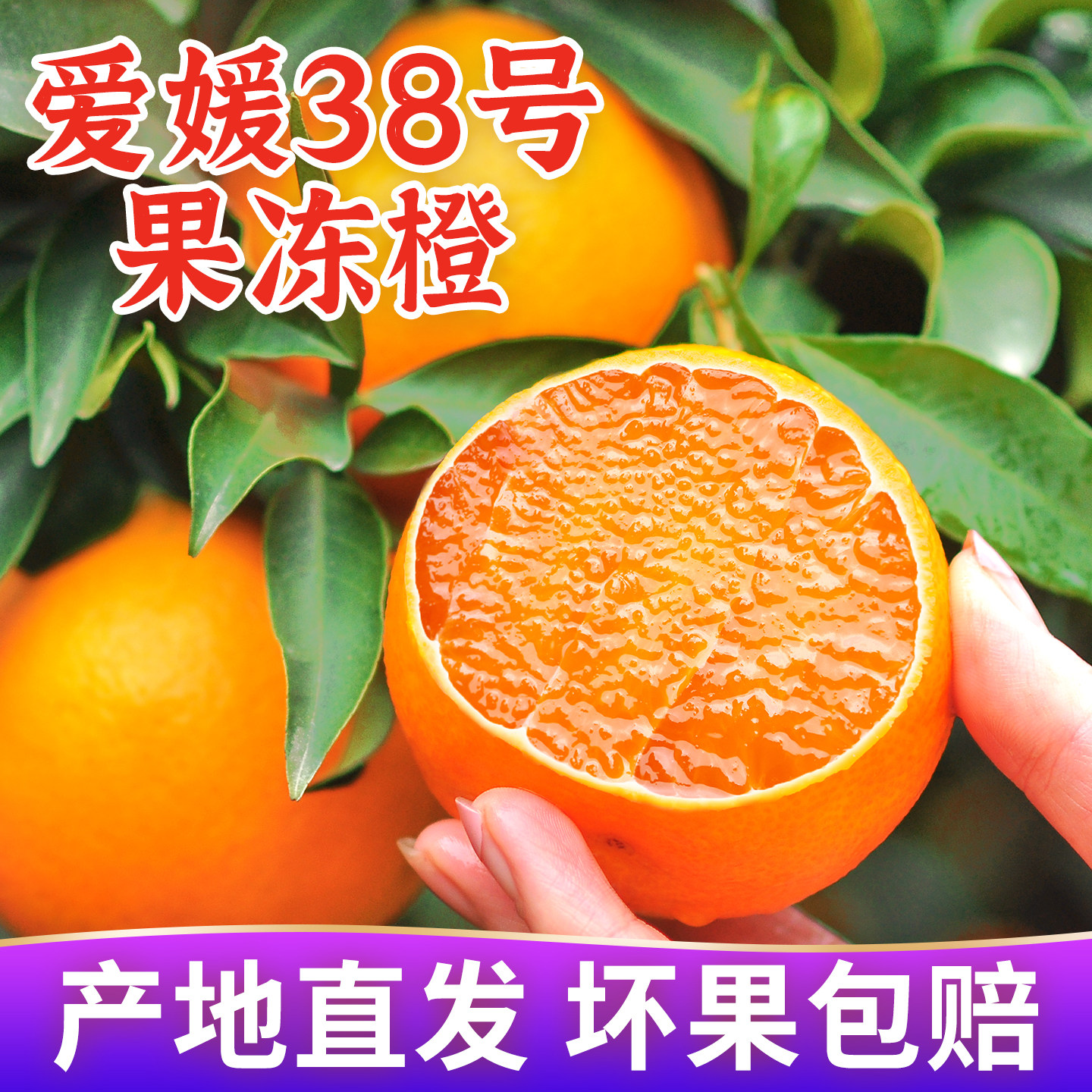 爱媛38号果冻橙新鲜橙子水果当季整箱四川甜柑橘10斤批发大果包邮