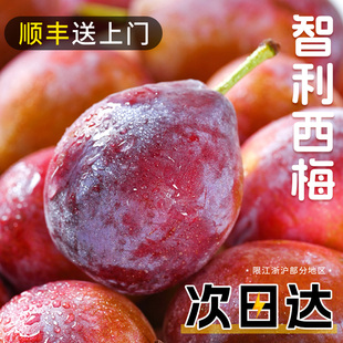 智利西梅新鲜水果5斤装法兰西脆甜李子大果当季整箱孕妇现摘现发3