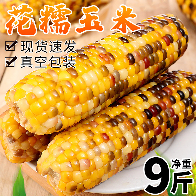 云南花糯玉米9斤新鲜水果甜生玉米棒子现摘整箱包邮10爆浆嫩玉米,水产肉类/新鲜蔬果/熟食,新鲜玉米,淘宝优惠券,粉丝福利购,淘宝优惠卷