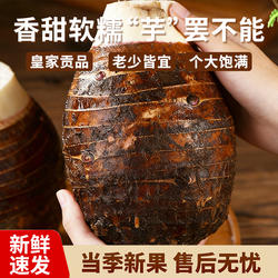广西荔浦芋头5斤新鲜香芋正宗大芋头旗舰店农家现挖香甜粉糯包邮