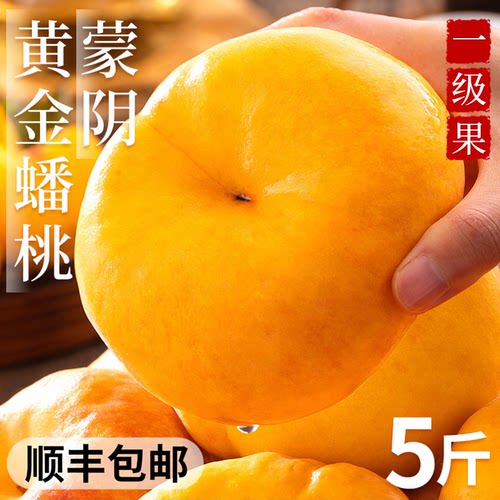 【现摘现发】蒙阴黄金蟠桃