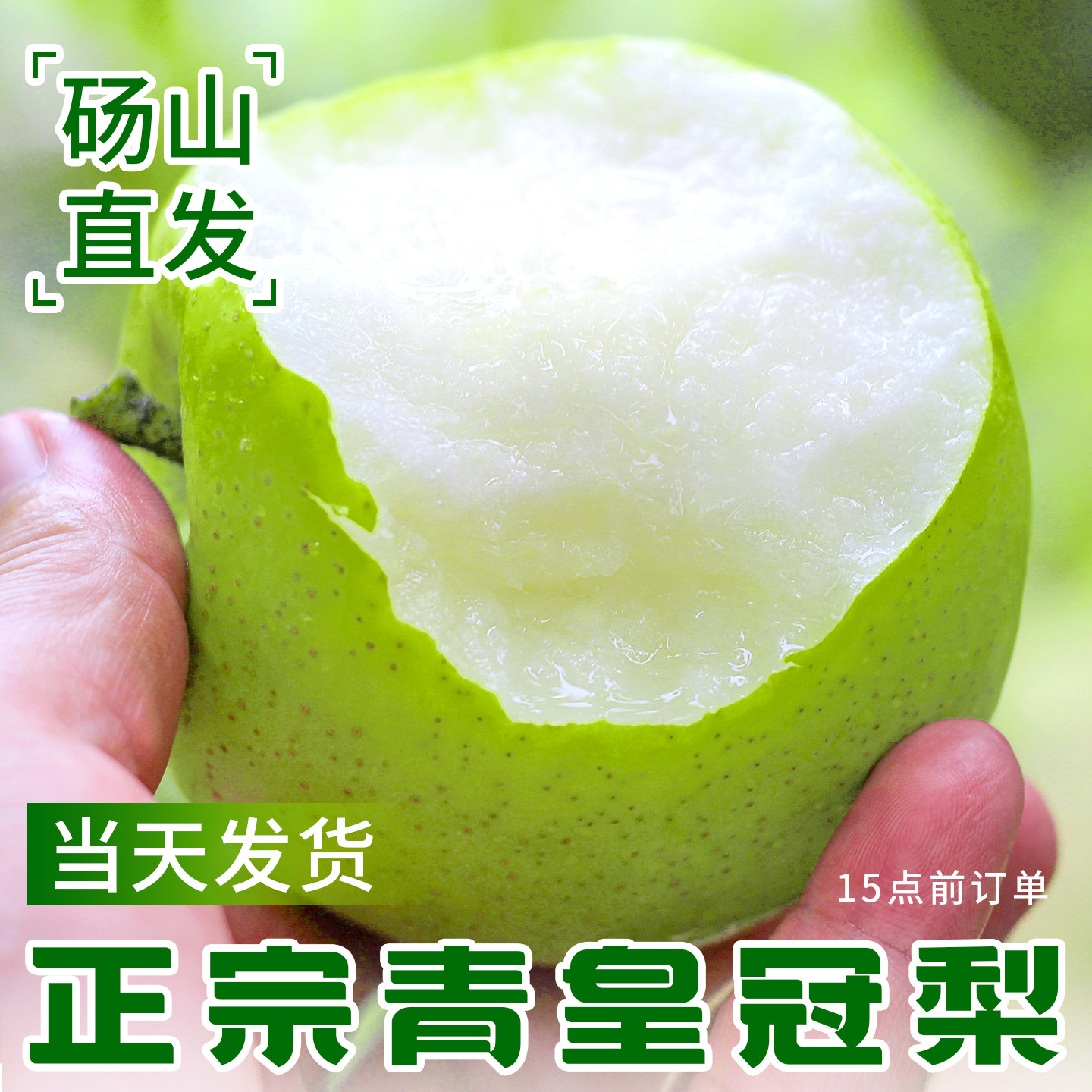 【正宗产地】砀山梨子当天发货