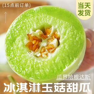 正宗玉菇甜瓜新鲜水果整箱包邮应当季蜜瓜香瓜冰淇淋脆甜斤白瓜10