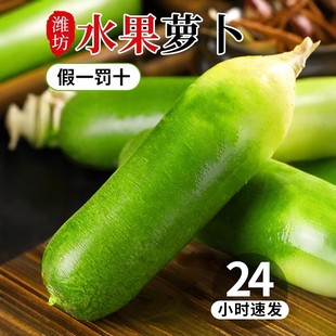 正宗山东潍坊水果萝卜新鲜沙窝萝卜生吃绿色脆青萝卜产地直发包邮