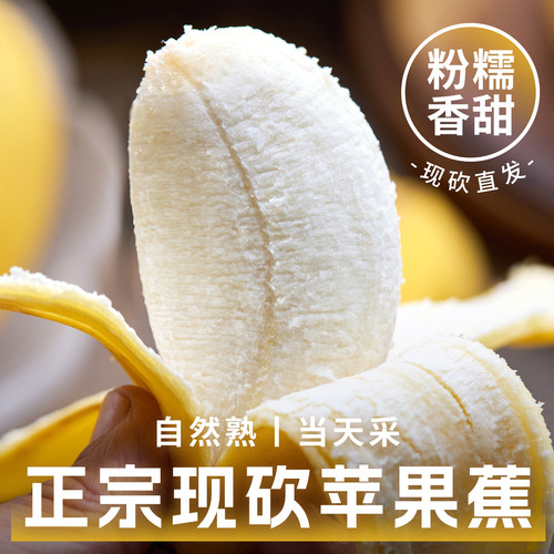 现摘现发|正宗苹果蕉