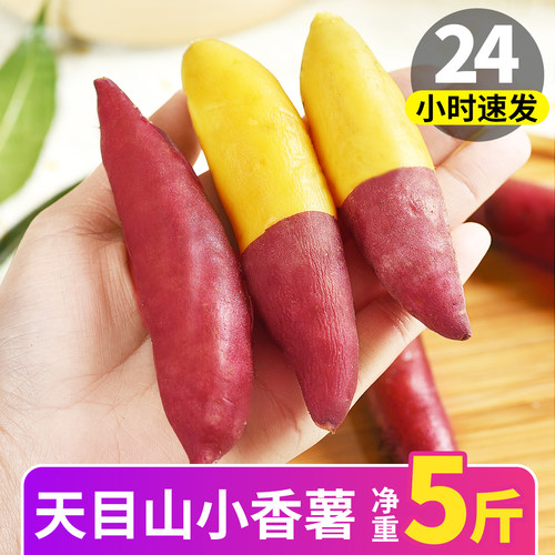 精选正宗临安小香薯丨现货速发