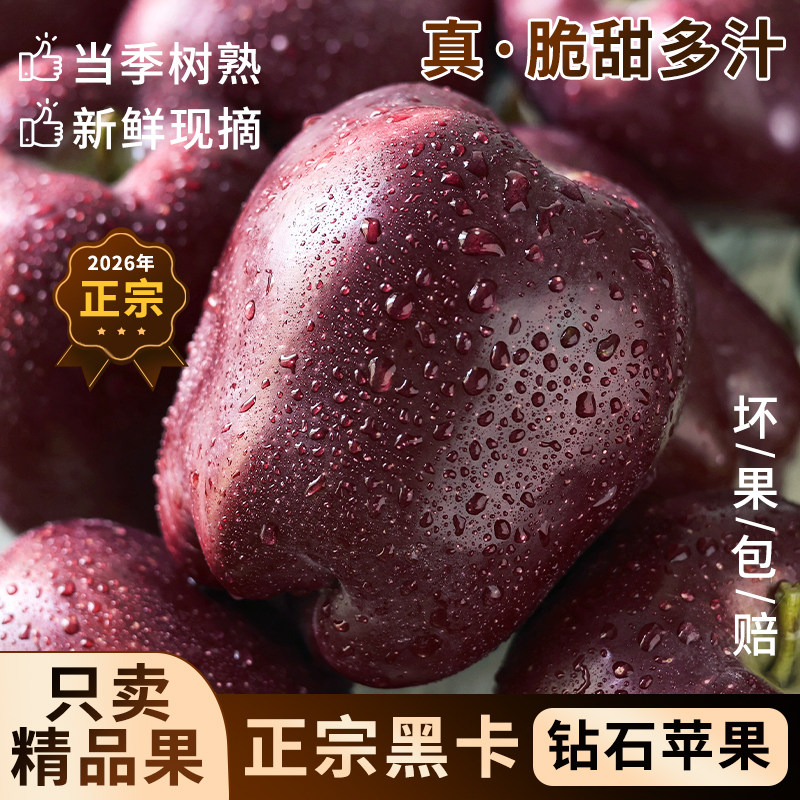 黑卡苹果|软糯香甜正宗原产地