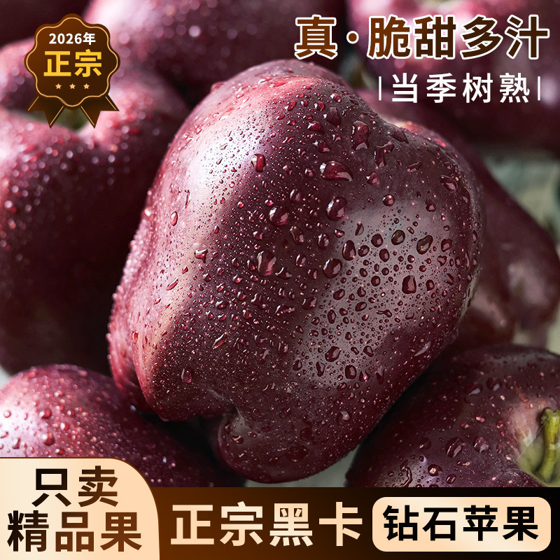 黑卡苹果|软糯香甜正宗原产地
