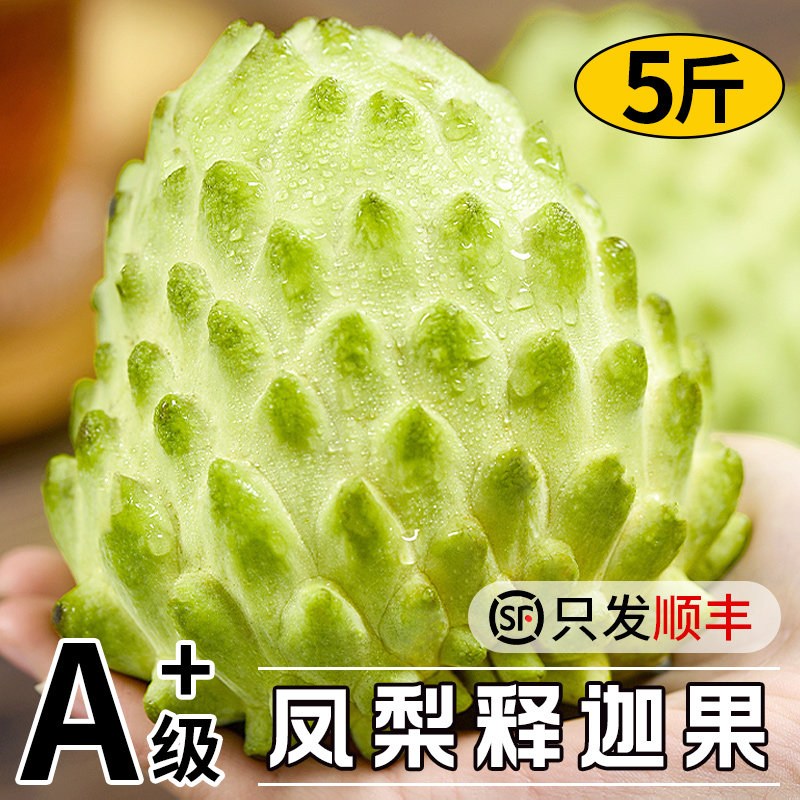 新鲜凤梨释迦果5牛奶大目番荔枝佛头摩尼果斤当季水果整箱10林檎