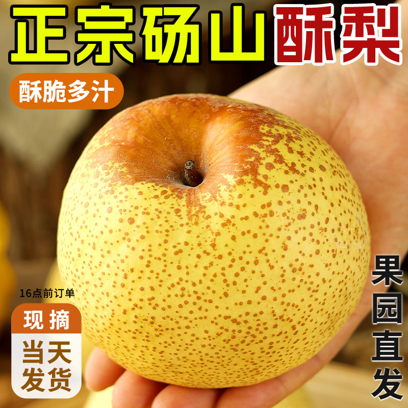 正宗砀山梨子酥梨当季水果新鲜9斤皮青梨整箱应皇香梨雪梨冠大果,水产肉类/新鲜蔬果/熟食,梨,淘宝优惠券,粉丝福利购,淘宝优惠卷