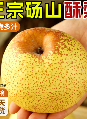 正宗砀山梨子酥梨当季水果新鲜9斤皮青梨整箱应皇香梨雪梨冠大果