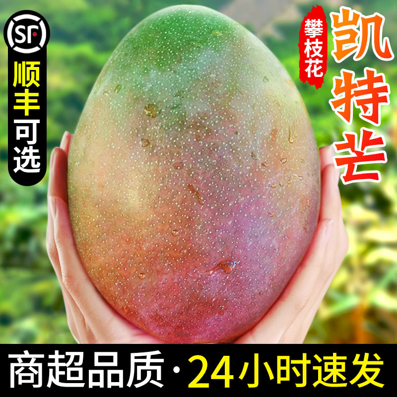 攀枝花凯特芒果新鲜水果5斤当季整箱包邮特大青忙10礼盒四川芒果属于什么档次？