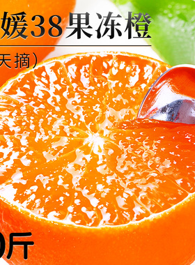 爱媛38号果冻橙新鲜橙子水果当季整箱四川甜柑橘10斤批发大果包邮