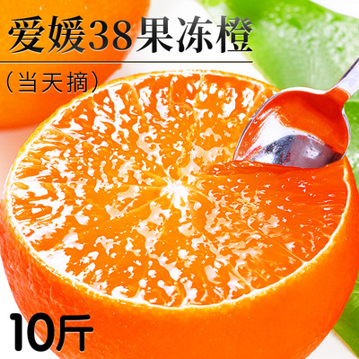 自然熟，正宗爱媛果冻橙