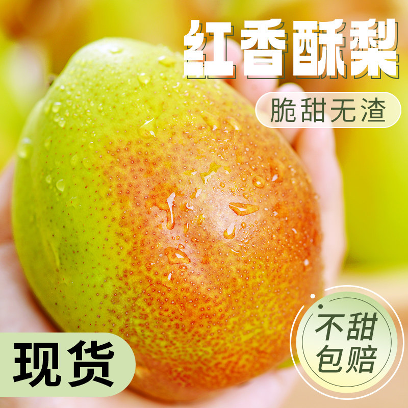 陕西红香酥梨10新鲜水果当季香梨整箱青雪酥梨应季特产斤梨子包邮
