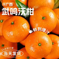 广西武鸣沃柑新鲜水果当季整箱时令10沙糖斤蜜橘砂糖柑橘桔子橘5