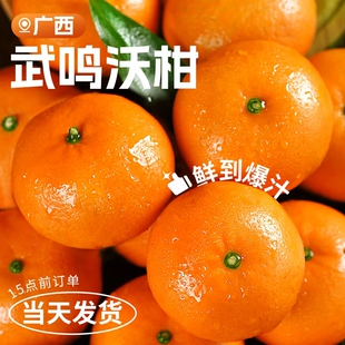 广西武鸣沃柑新鲜水果当季整箱时令10沙糖斤蜜橘砂糖柑橘桔子橘5