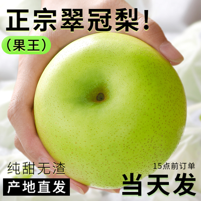 正宗砀山青梨砀山直采当天速发