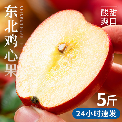 正宗东北鸡心果|酸甜爽口