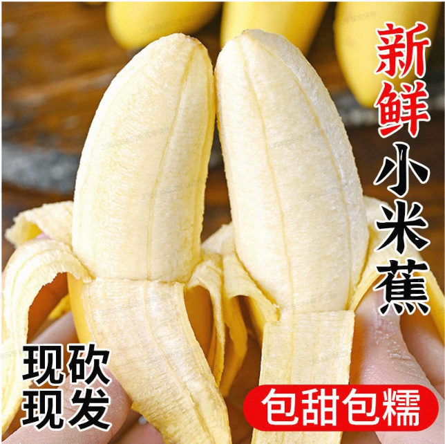 广西小米蕉当季新鲜水果自然熟