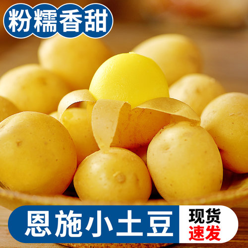恩施小土豆2023皮薄粉糯现挖现发
