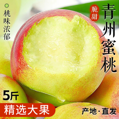 【2026头茬鲜果】青州蜜桃5斤