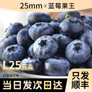正宗蓝莓新鲜水果当季蓝梅鲜果现摘高山怡颗孕妇大果整箱顺丰包邮